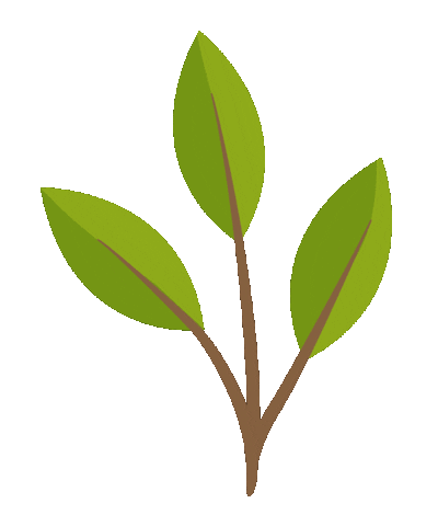 leaf-img